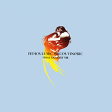 Final Fantasy VIII - Fithos Lusec Wecos Vinosec